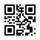 Betmoney 484