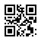 Betmoney 486