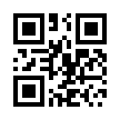 Betpipo 636 Link