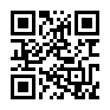 Beygirbet 181 Giriş