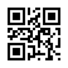 Darkbet 504 Link