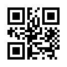 Festwin516 Link