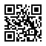 Meritking 2009 Giriş