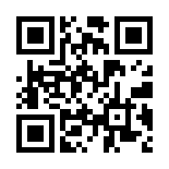 Meritking 2010 Giriş