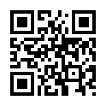 Palazzobet 313 Giriş